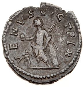 Plautilla